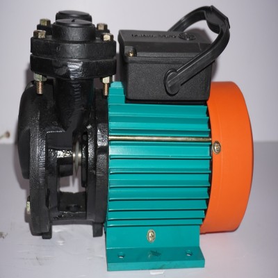 CRI SELFY 56 Centrifugal Water Pump(1 hp)