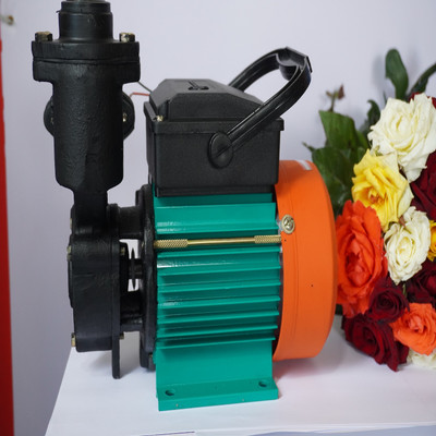 C R I Groups ELSA 100 AND MIKI 100 Centrifugal Water Pump(1 hp)
