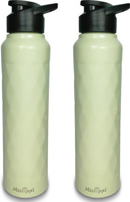 MISSIPPI 1000 ml Steel Sipper(Pack of 2, Green)