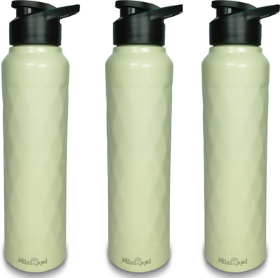 MISSIPPI 1000 ml Steel Sipper(Pack of 3, Green)