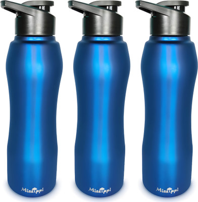 MISSIPPI 1000 ml Steel Sipper(Pack of 3, Blue)