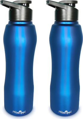 MISSIPPI 1000 ml Steel Sipper(Pack of 2, Blue)