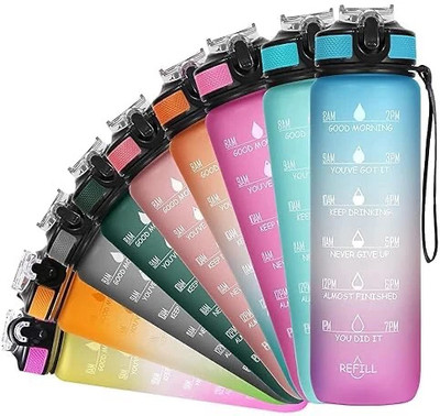 DLenox 1 l Water Purifier Bottle(Multicolor)
