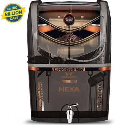 WELLBERG Aqua Hexa Water Purifier Filter Long Lasting with Multi-Stage Filtration System 14 L RO + UV + UF + Copper + TDS Control Water Purifier(Black)