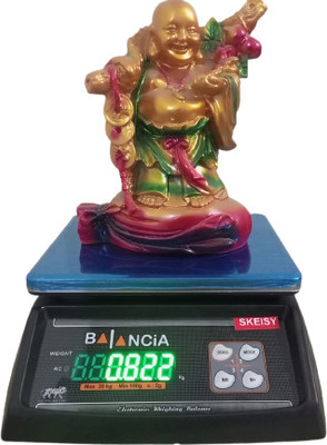 Skeisy STEEL BALANCIA WEIGHING MACHINE DOUB LE DISPLAY MACHINE POWER UP 30KG Weighing Scale(Black, STEEL)