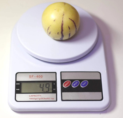 GFTKJ Electronic Weight Machine With Digital LCD Display Mini Weighting Scale 10kg Weighing Scale(White)