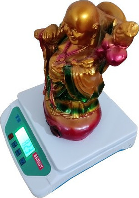 Skeisy ts-500-weighting machine up to 30kgx1gm-and direct charge with adaptor Weighing Scale(White)