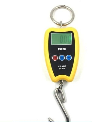 RC Enterprises 200kg hanging weighing scale Mini Crane scale Electronic portable weight machine Weighing Scale(Yellow)