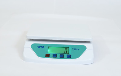 Skeisy TS-500NEW BLUE/WHITE POWER UP TO 30KGX1GM AND LOAD INDICATOR AND 240V Weighing Scale(White, Blue)