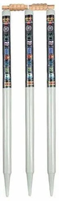 VSM SPORTS Natural White 3 Wooden Stumps & 2 Bails (Wicket Set) (White)(White)