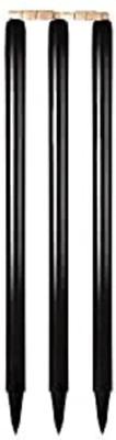 Kalindri Sports Cricket Wooden Stump (Pack of 3, Rolla Craft Black)(Multicolor)