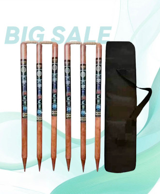 AMN SPORTS Premium Diamond natural set of 6 stumps with 4 bails free Bag(Brown)