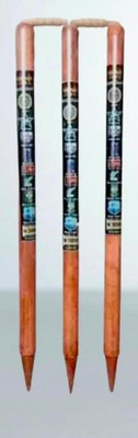 HTSports Champion’s Choice Wooden stumps set of 3(Brown)