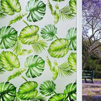 WALLNEST Vinyl Nature Green, White Wallpaper(L x W: 60.96 cm x 127 cm)