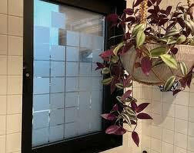 SURFNPICK Automotive, Commercial, Residential Window Film(White, Transparent)