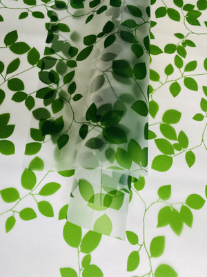 COSMOS STAR Residential, Commercial Window Film(Green)