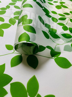 COSMOS STAR Residential, Commercial Window Film(Green, White)