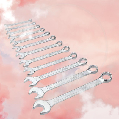 Mystore wrench_Set_MS_275 12pc set Double Sided Combination Wrench(Pack of 1)