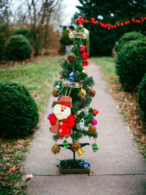 TINY TOON Pine 60 cm (1.97 ft) Artificial Christmas Tree(Multicolor)