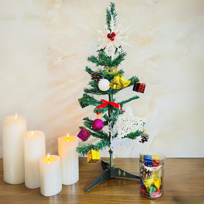 Akaar Artificial Christmas Tree 2 Ft with Stand Artificial Plant  with Pot(61 cm, Green)