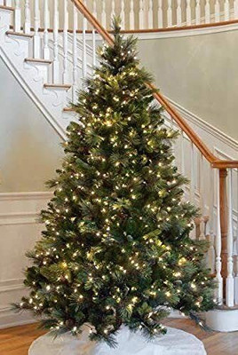 APNA STORE Pine 244 cm (8.01 ft) Artificial Christmas Tree(Green)