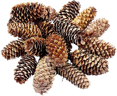 Vintager Pine 4.5 cm (0.15 ft) Artificial Christmas Tree(Brown)