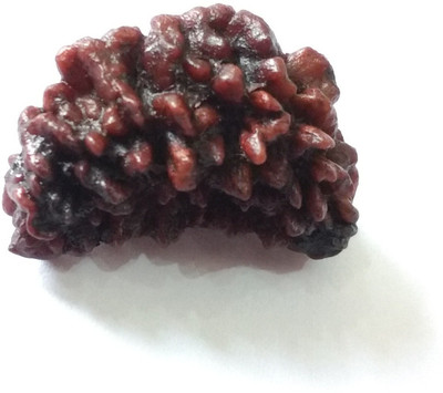 Devadidev 1 Mukhi One Face Rudraksha with Lab Certificate Wooden Yantra(Pack of 1)