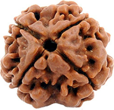 RUDRA UNIVERSE 4 Mukhi Rudraksha Bead Origional Nepali Rudraksha Bead Wooden Yantra(Pack of 1)