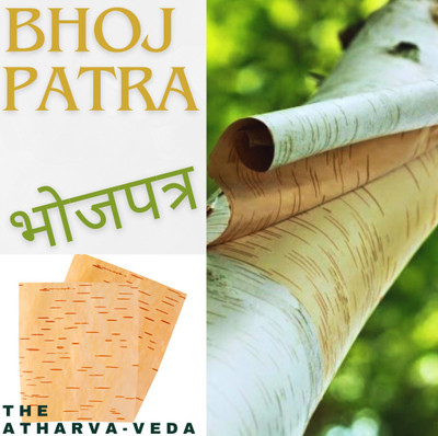 The Atharva-veda 2Pc Original bhojpatra sheet, bhoj patra for yantra, Betula utilis, Bhurjapatra Wooden Yantra(Pack of 2)