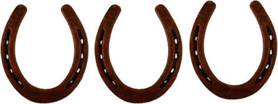BG Bazzar gali Pack of 3 Kale Godhe/ Black Horse Shoe/ Naal To Protect Your Home/ Office From Evil Eyes, Iron Yantra(Pack of 3)