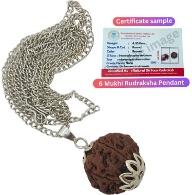 HAPPY CREATION Original 6 Mukhi Rudraksha with Certificate Silver Beads Brass, Wood Locket Set