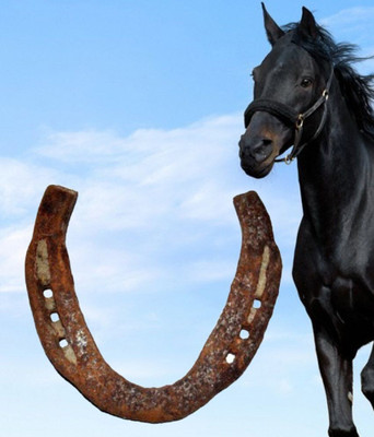 Cyan spritual 100% Original Black Horse Shoe Kaale Ghode ki Naal Mantra Siddh with Shabar Mantra Cast Iron Yantra Iron Yantra deal from flipkart Cyan spritual 100% Original Black Horse Shoe Kaale Ghode ki Naal Mantra Siddh with Shabar Mantra Cast Iron Yantra Iron Yantra deal from flipkart