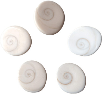 SATYAM Satyam Gomti Chakra for Puja and Decoration Crystal Yantra(Pack of 5)