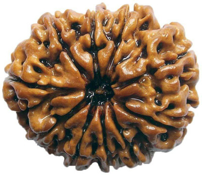 

SHIVOHAM 10 MUKHI RUDRAKSHA FROM NEPAL CERTIFIED Wooden Yantra