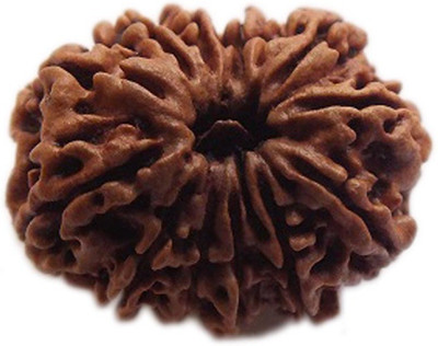 

ByCue Certified 11 Mukhi Rudraksha Nepal Best Quality Wooden Yantra(Pack of 1)