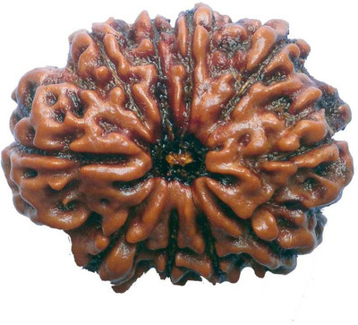 

ByCue Certified 10 Mukhi Rudraksha Wooden Yantra(Pack of 1)