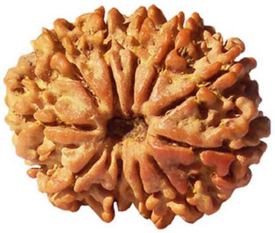 

SHIVOHAM 10 MUKHI RUDRAKSHA PREMIUM QUALITY LAB CERTIFIED Wooden Yantra