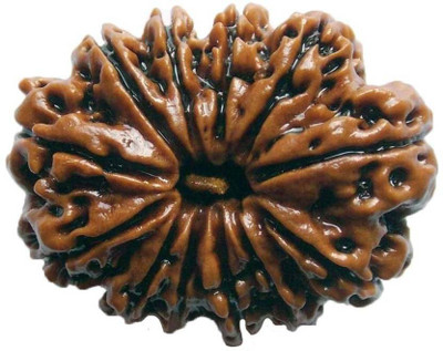 

SHIVOHAM 12 MUKHI RUDRAKSHA FROM NEPAL CERTIFIED Wooden Yantra