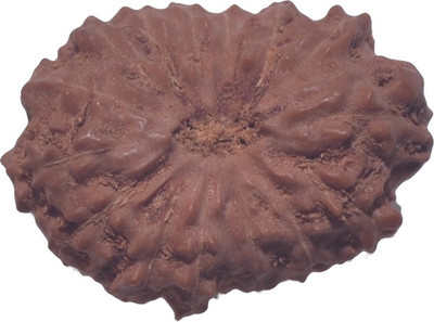 

Navkaar Creation 15 Mukhi Rudraksha Java Natural Fifteen Face Indonesian Bead 20.5 mm Lab Certified Wooden Yantra