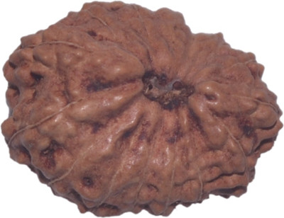 

Navkaar Creation 14 Mukhi Rudraksha Java 17.07mm Lab Certified Wooden Yantra