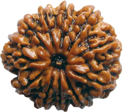 

SHIVOHAM 11 Mukhi Rudraksha. Wooden Yantra