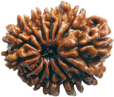 

SHIVOHAM 13 MUKHI RUDRAKSHA FROM NEPAL CERTIFIED Wooden Yantra