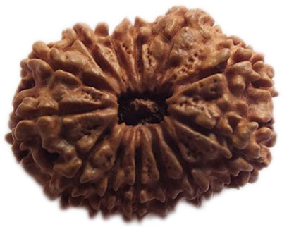 

ByCue Certified 13 Mukhi Rudraksha Nepal Best Quality Wooden Yantra(Pack of 1)