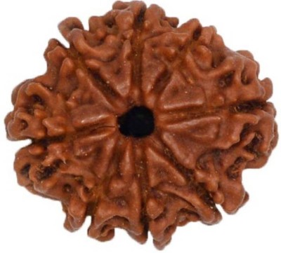 

SHIVOHAM 8 MUKHI CERTIFIED NEPALI RUDRAKSHA Wool Yantra