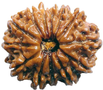 

ByCue Ceritfied 13 Mukhi Nepal Rudraksha 26.82mm Wooden Yantra(Pack of 1)