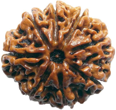 

ByCue Ceritfied 8 Mukhi Nepal Rudraksha 25.60mm Wooden Yantra(Pack of 1)