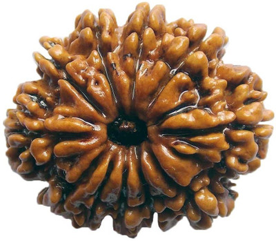 

ByCue Ceritfied 11 Mukhi Nepal Rudraksha 27.03mm Wooden Yantra(Pack of 1)