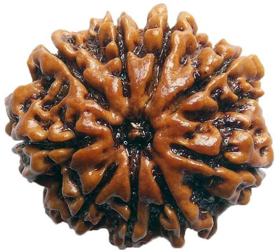 

ByCue Ceritfied 9 Mukhi Nepal Rudraksha 25.23mm Wooden Yantra(Pack of 1)