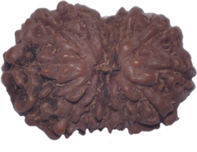 

Navkaar Creation 13 Mukhi Rudraksha Java 16.44mm Lab Certified Wooden Yantra