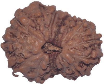 

Navkaar Creation 15 Mukhi Rudraksha Java 18.20mm Wooden Yantra
